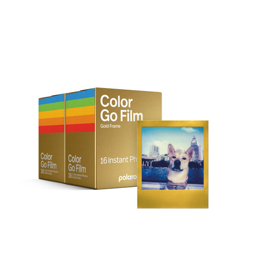 Polaroid Go Color Film Double Pack – Gold Frame x2